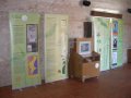 Expotemporal